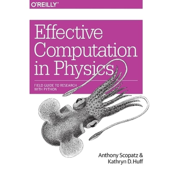 Effective Computation in Physics image 0