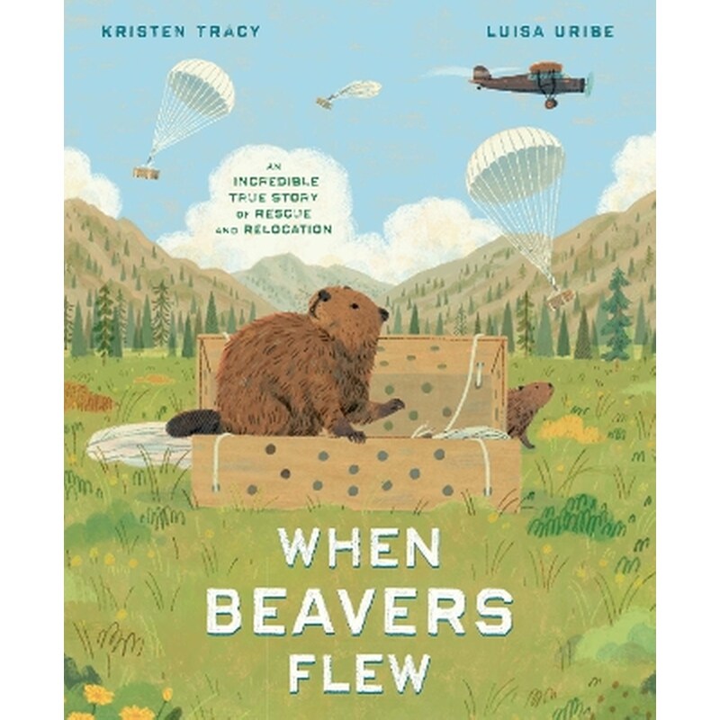 When Beavers Flew