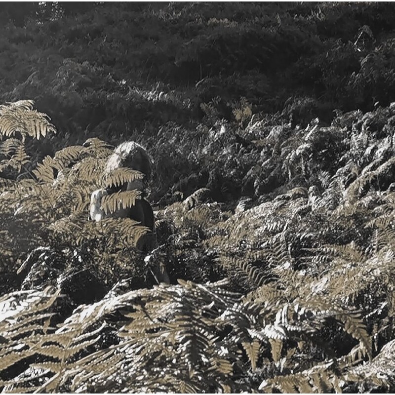 Prisoners Of Love And Hate (LP)