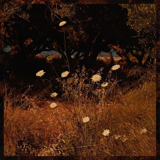 Earth Patterns (+Downloadcode) image 1