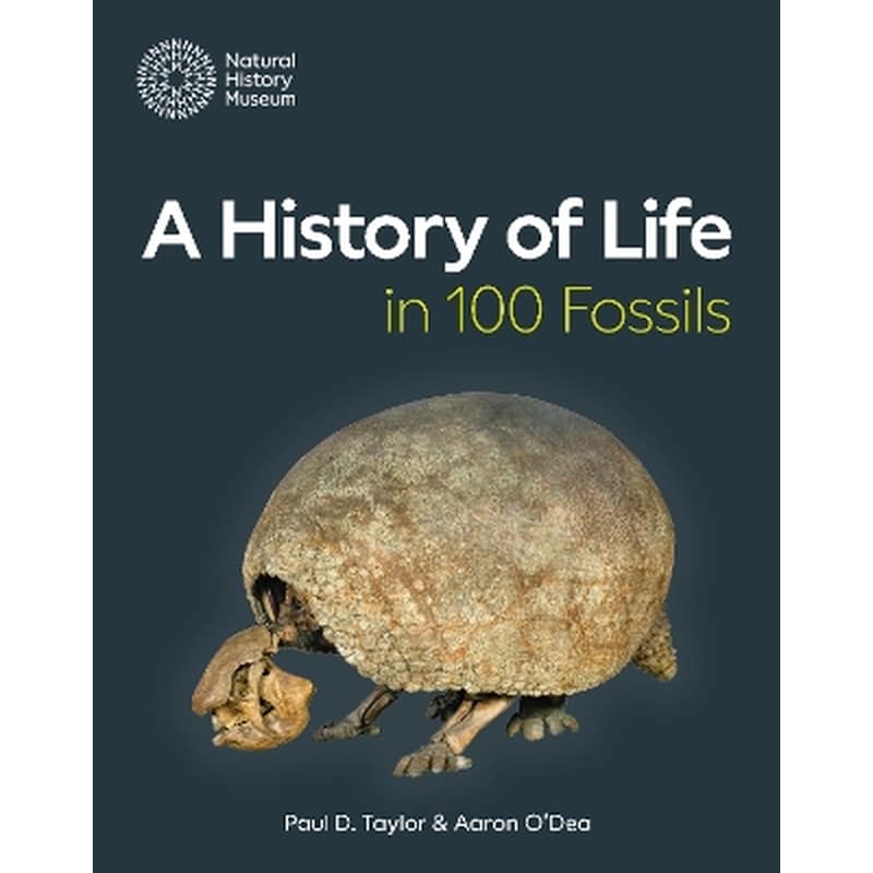 A History of Life in 100 Fossils