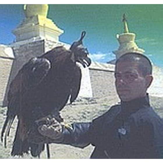 Εκπαίδευση νεόλεκτου ίππου image 1