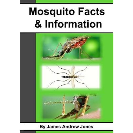 Mosquito Facts & Information image 0