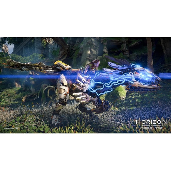 Horizon Forbidden West - PS5 image 2