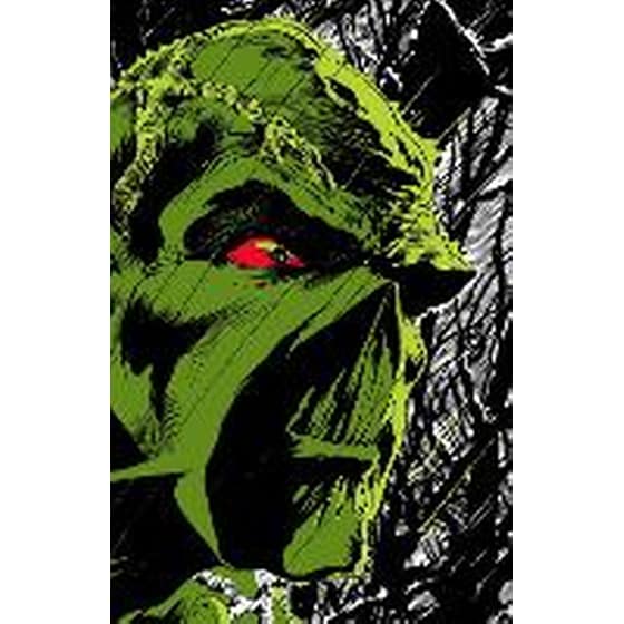 Absolute Swamp Thing by Len Wein and Bernie Wrightson image 0