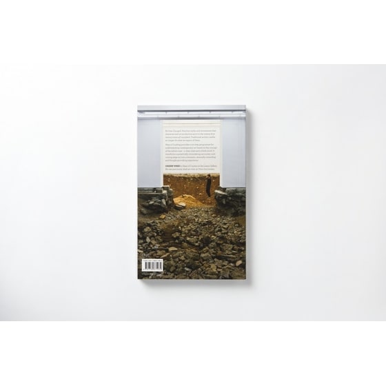 Ways of Looking image 1