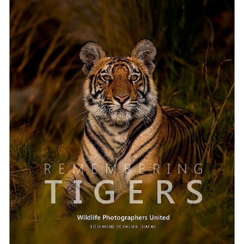Remembering Tigers