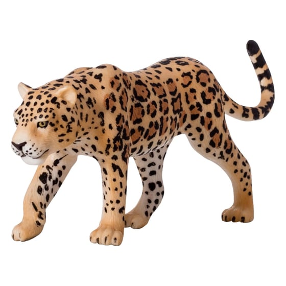 Λεοπάρδαλη Animal Planet (L) image 0