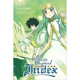 A Certain Magical Index, Vol. 11 (Novel)