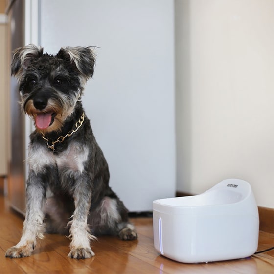 Ποτίστρα Για Σκύλο - Λευκή image 3