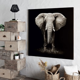 Μοντέρνος Πίνακας Spitishop Ελέφαντας 100x100 cm