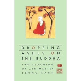 Dropping Ashes on the Buddha