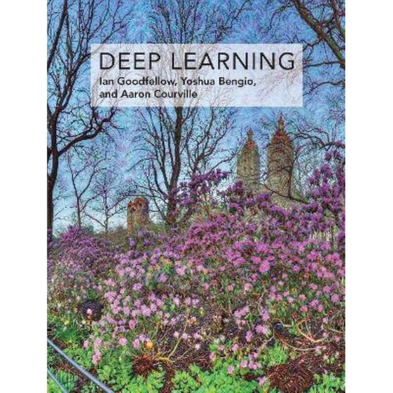Deep Learning image 0