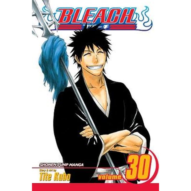 Bleach, Vol. 30, Vol. 30