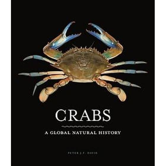 Crabs image 0