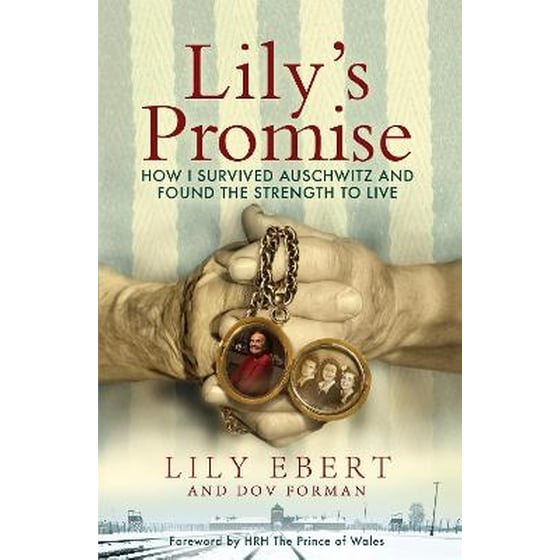 Lily's Promise image 0