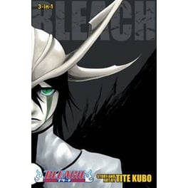 Bleach (3-in-1 Edition), Vol. 14