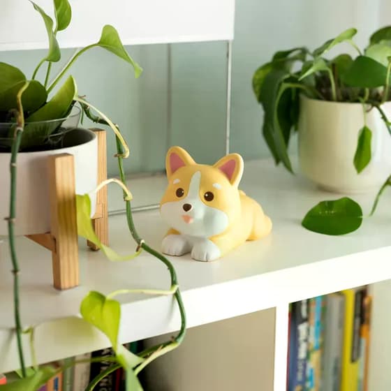 Μπαλάκι Antistress Legami Corgi image 2