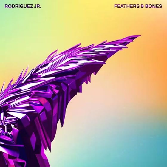 Feathers & Bones image 0