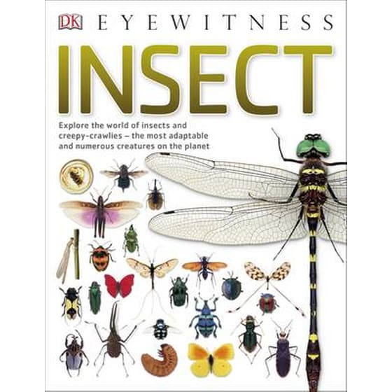 Insect image 0