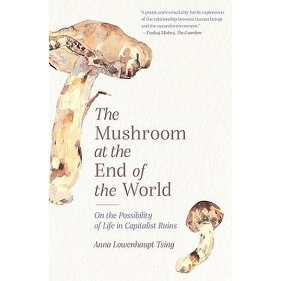 The Mushroom at the End of the World image 0