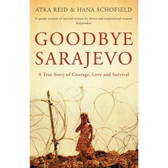 Goodbye Sarajevo image 0