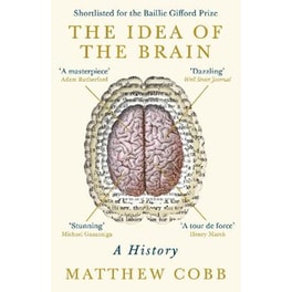 Idea of the Brain
