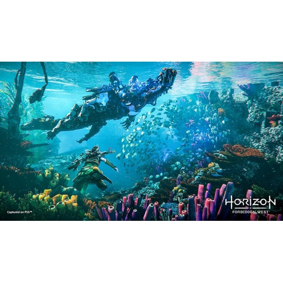 Horizon Forbidden West - PS5 image 8