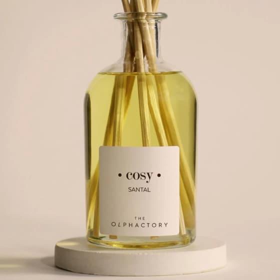 Diffuser Ambientair The Olphactory Santal 100ml - Cosy image 3