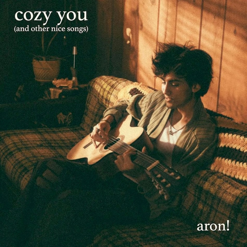 Cozy You (And Other Nice Songs) (LP)
