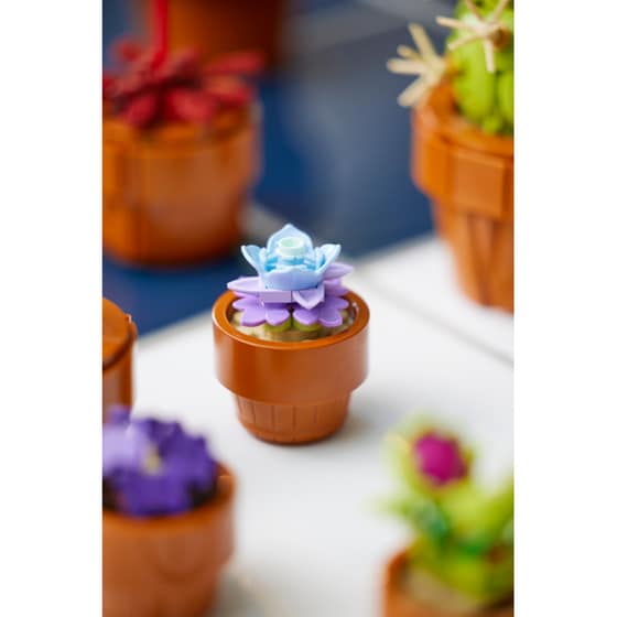 LEGO® Icons Tiny Plants (10329) image 5