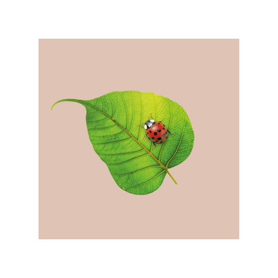 Χαρτοπετσέτες Bamboo Ladybug - 20 Τεμάχια image 0