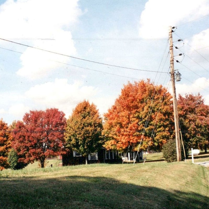 Things Are Gonna Be Alright (Red LP)