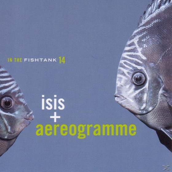 In The Fishtank (Mini-Album) image 0