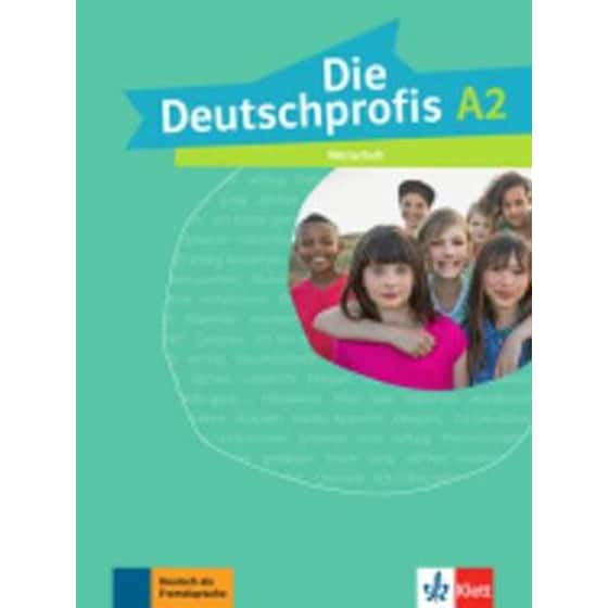 Die Deutschprofis image 0