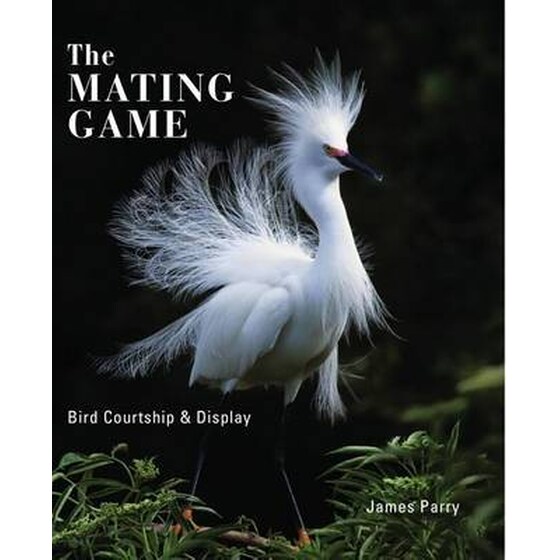 The Mating Lives Of Birds image 0