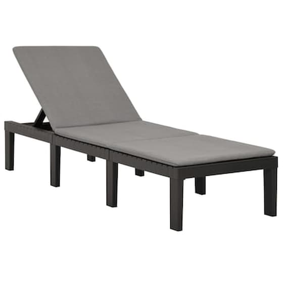 Ξαπλώστρα VidaXL με Μαξιλάρι Πλαστική 195x65x32 - Ανθρακί image 0