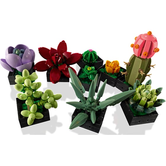 LEGO® Creator Expert Succulents (10309) image 4