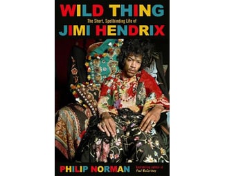 Wild Thing : The short spellbinding life of Jimi Hendrix image 0