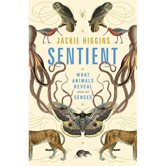 Sentient image 0