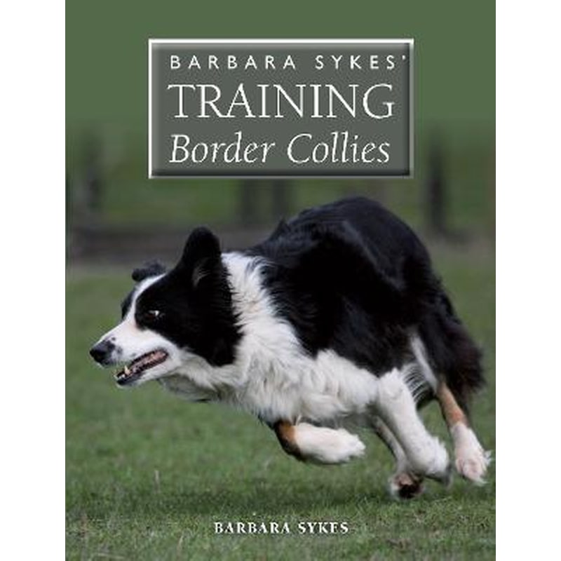 Barbara Sykes Training Border Collies