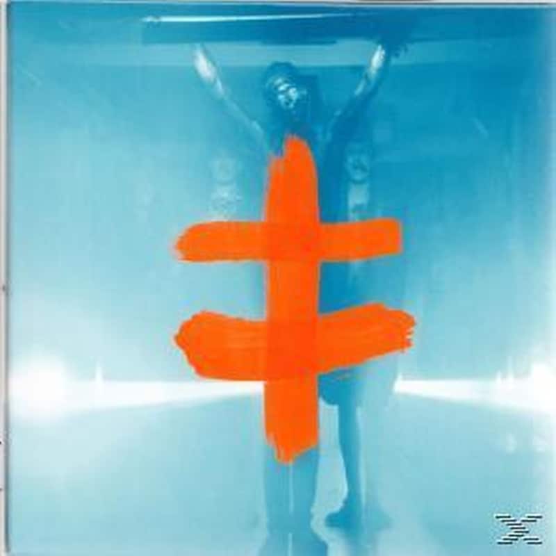 Leaves-The Colour Of Falling