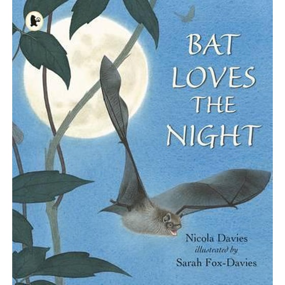 Bat Loves the Night image 0