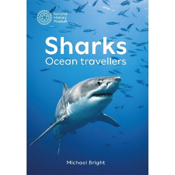 Sharks image 0