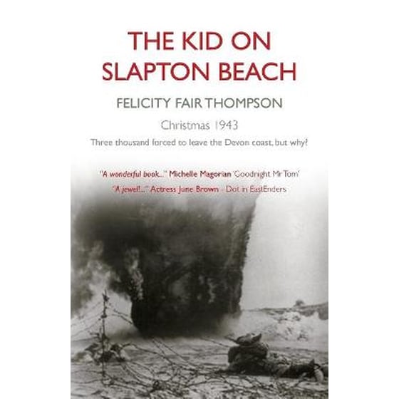 The Kid on Slapton Beach image 0