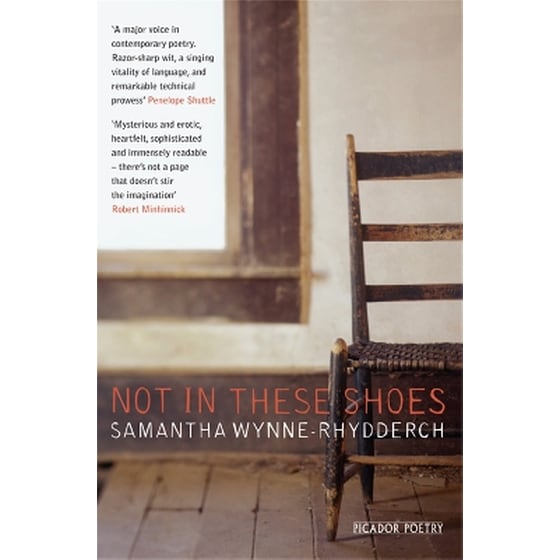 Not In These Shoes image 0