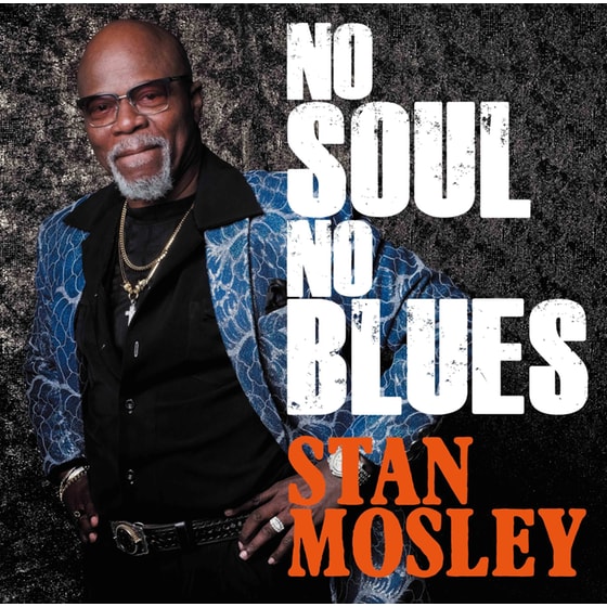 No Soul, No Blues (LP) image 0