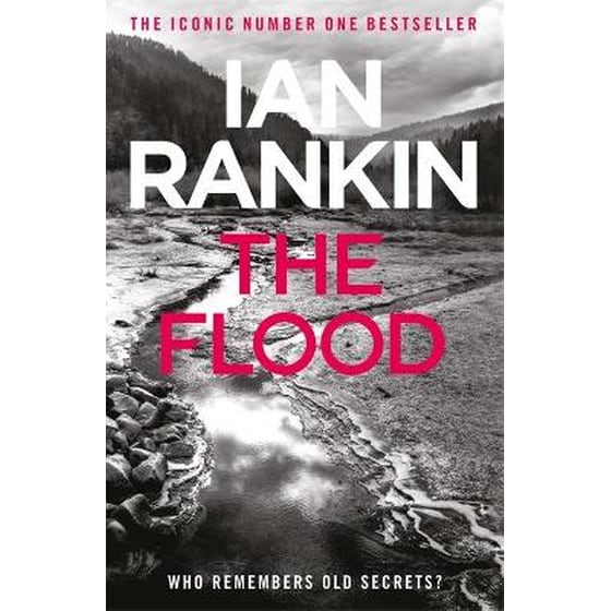 The Flood image 0