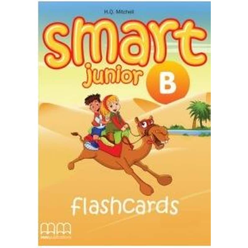 SMART JUNIOR B FLASHCARDS