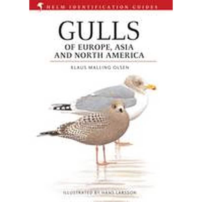 Gulls of Europe, Asia and North America